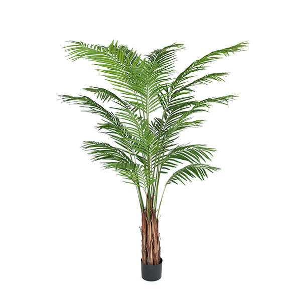 Decorative tree - Palm